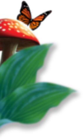 Mushroom